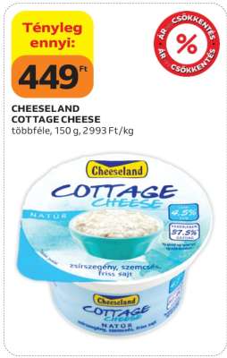 Cheeseland Cottage Cheese