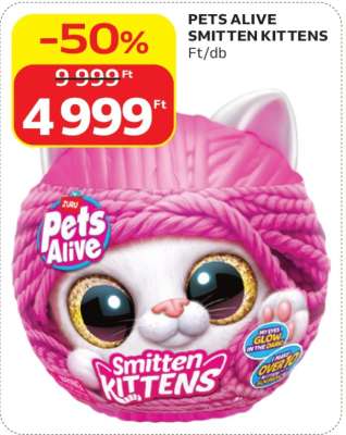Pets Alive Smitten Kittens