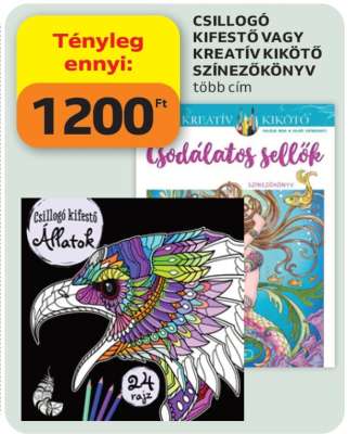 CSILLOGÓ KIFESTŐ VAGY KREATÍV KIKÖTŐ SZÍNEZŐKÖNYV