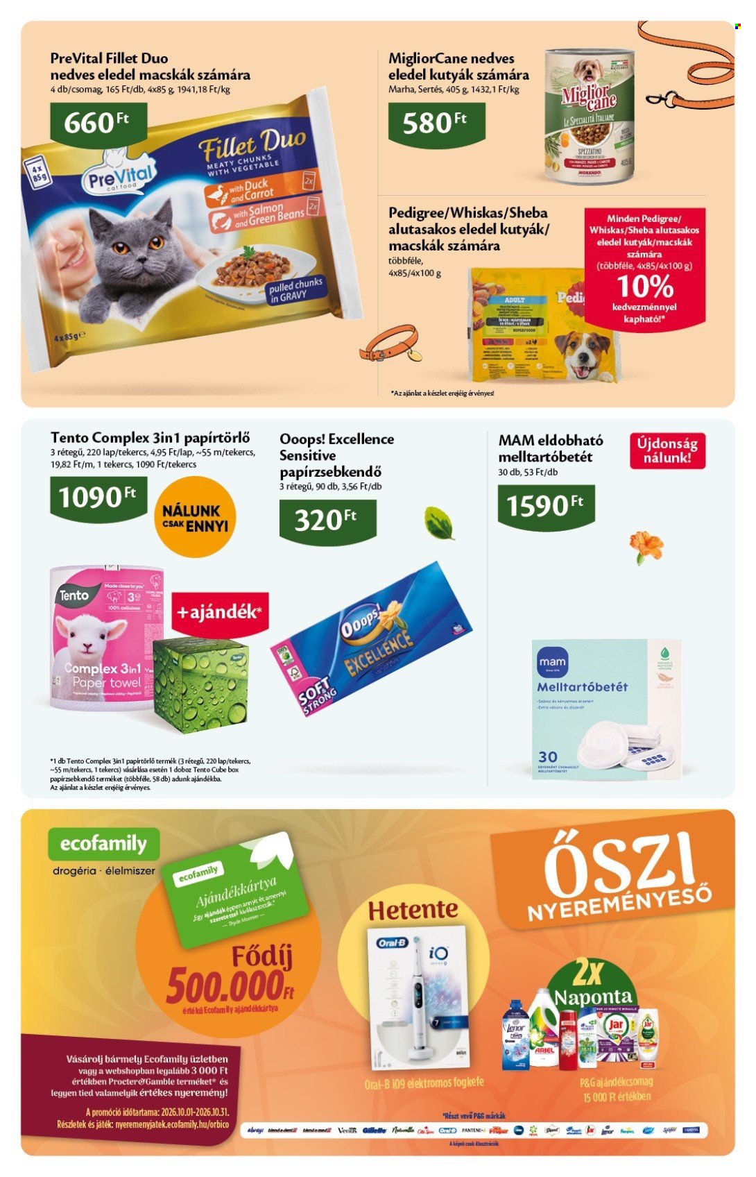 EcoFamily akciós újság érvényes:  - 2026.10.01 - 2026.10.11. 19. oldal Oldal 19
