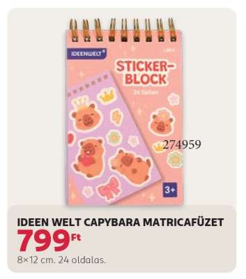 IDEEN WELT CAPYBARA MATRICA FÜZET