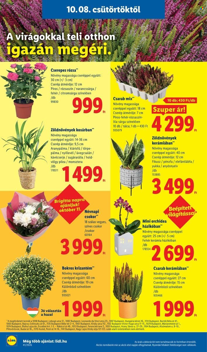 Lidl akciós újság érvényes:  - 2026.10.08 - 2026.10.14. 16. oldal Oldal 16