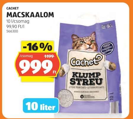 Cachet Macskaalom