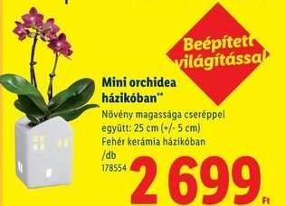 Mini orchidea házikóban*