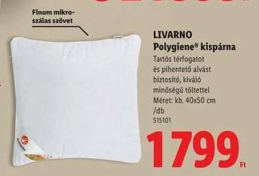 LIVARNO Polygiene® kispárna