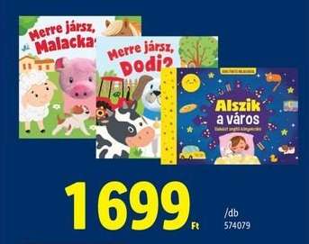 Alszik a város