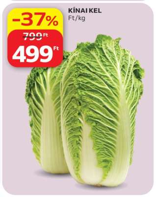 Kínai kel