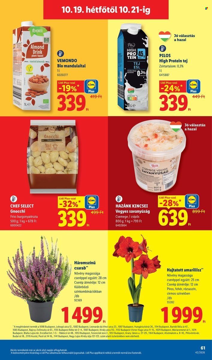 Lidl akciós újság érvényes:  - 2026.10.15 - 2026.10.21. 61. oldal Oldal 61