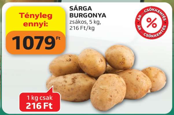 Sárga Burgonya