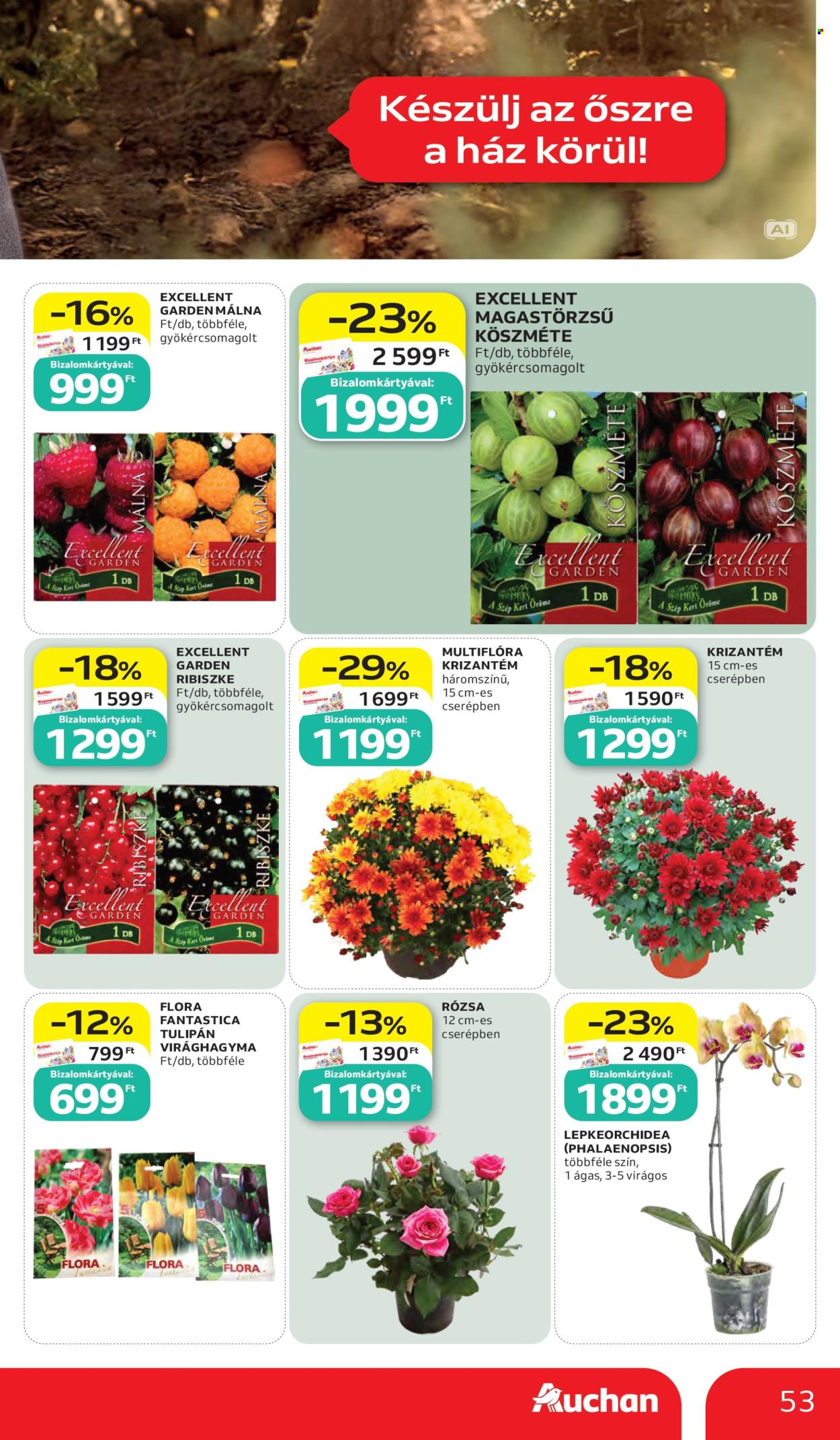 Auchan akciós újság érvényes:  - 2026.10.15 - 2026.10.21. 53. oldal Oldal 53